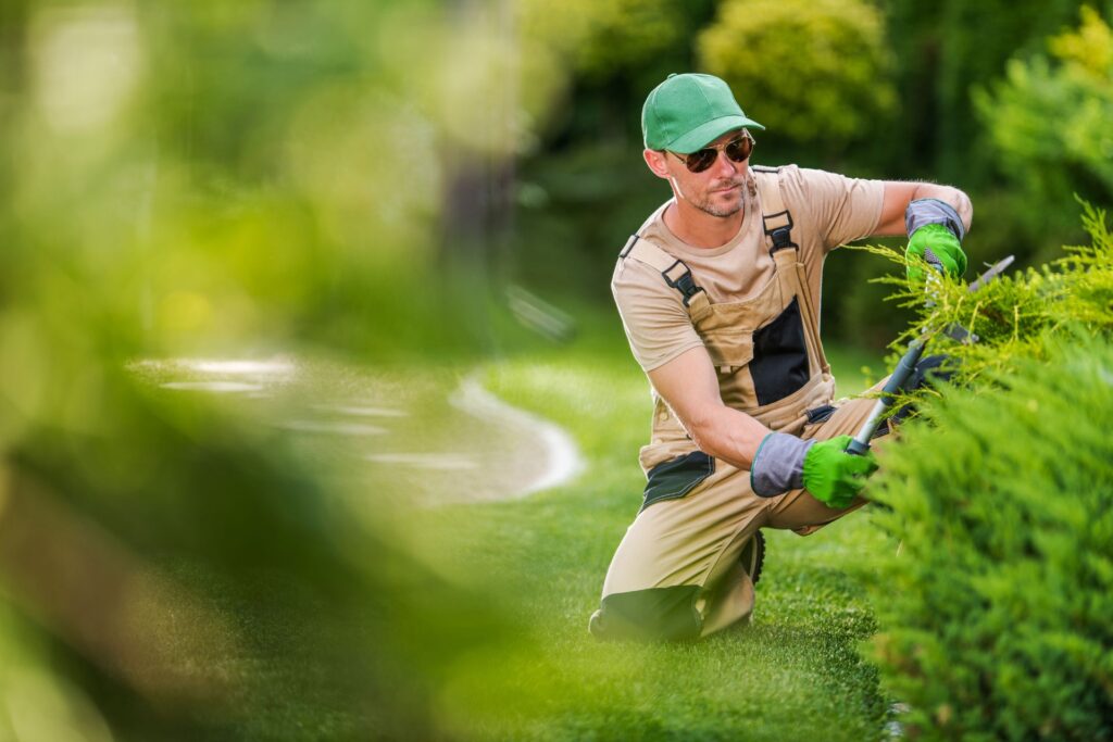 Why Is Important To Clean Your Garden